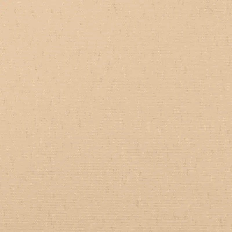 vidaXL Set Salotto da Giardino Beige, Legno Naturale