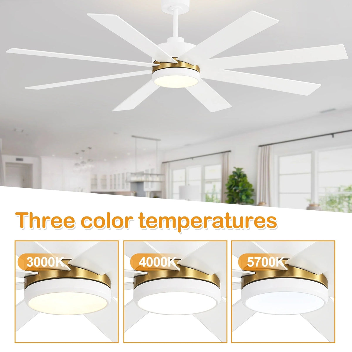 Ventilatore da soffitto nero da 65 pollici con 8 pale, LED, luce e telecomando