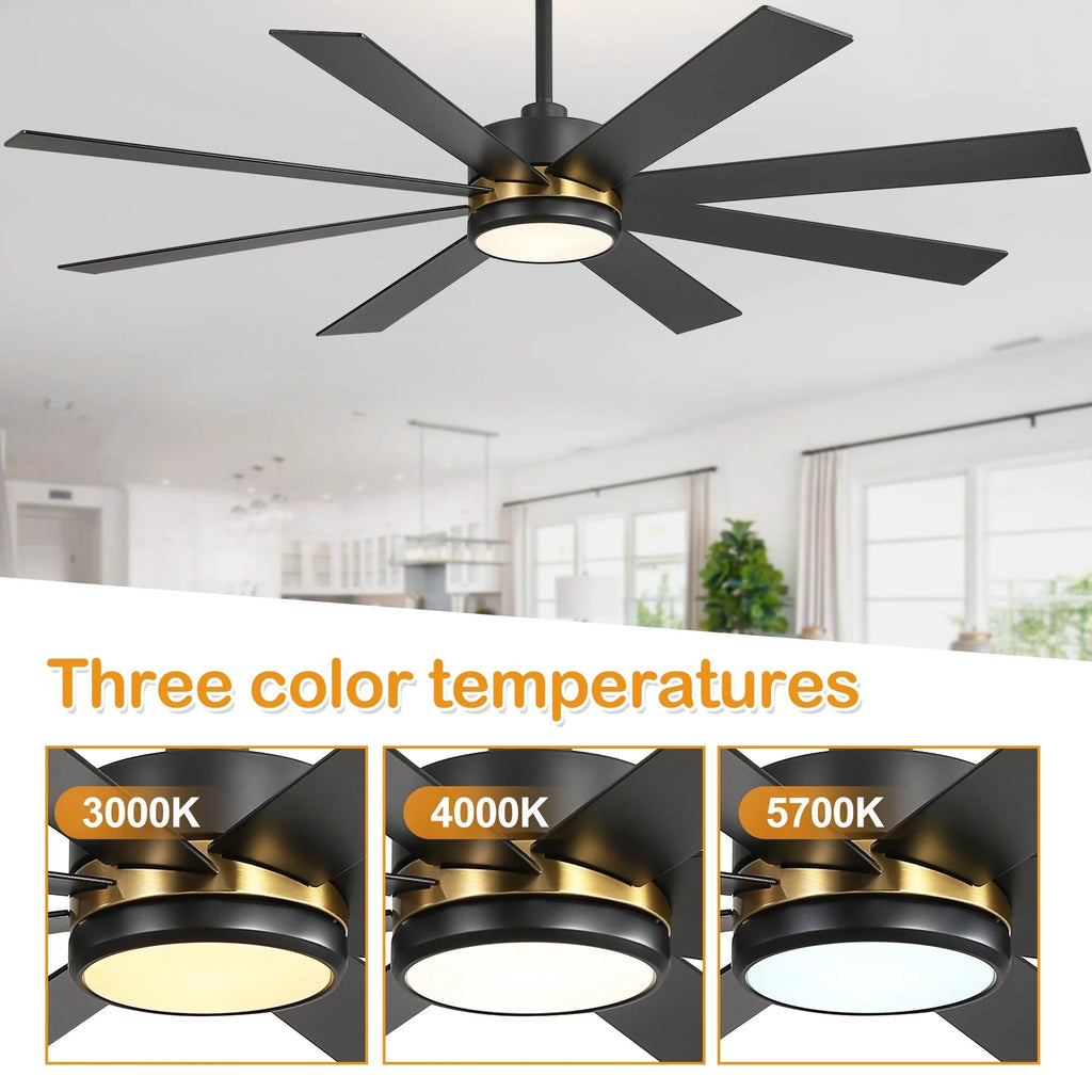 Ventilatore da soffitto nero da 65 pollici con 8 pale, LED, luce e telecomando